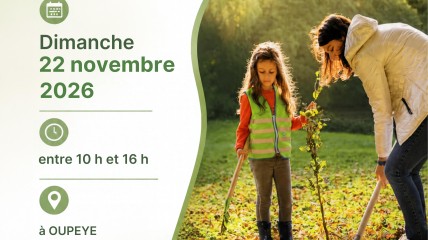 Tree planting in Oupeye (Forest in one Day)