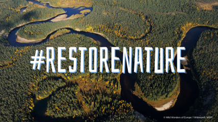 Nature wins - the law to restore it gets final approval