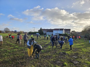 Forest in One Day in Halle