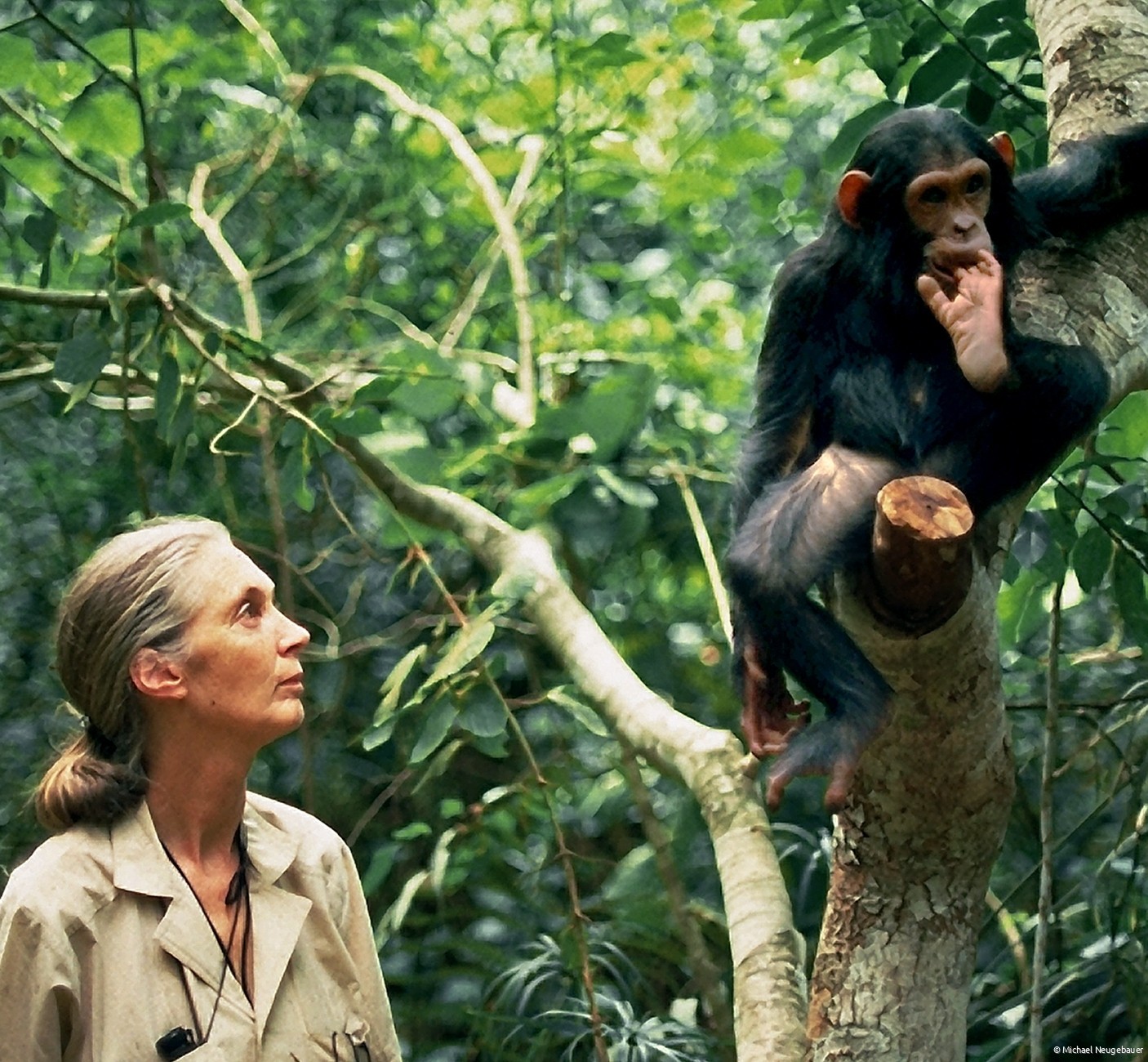 Dr. Jane Goodall  and Galahad. Gombe National Park, Tanzania.