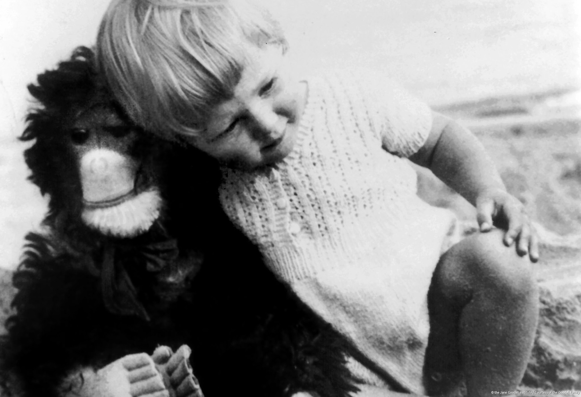 Baby Jane Goodall with her toy chimpanzee, Jubilee, a gift from her father