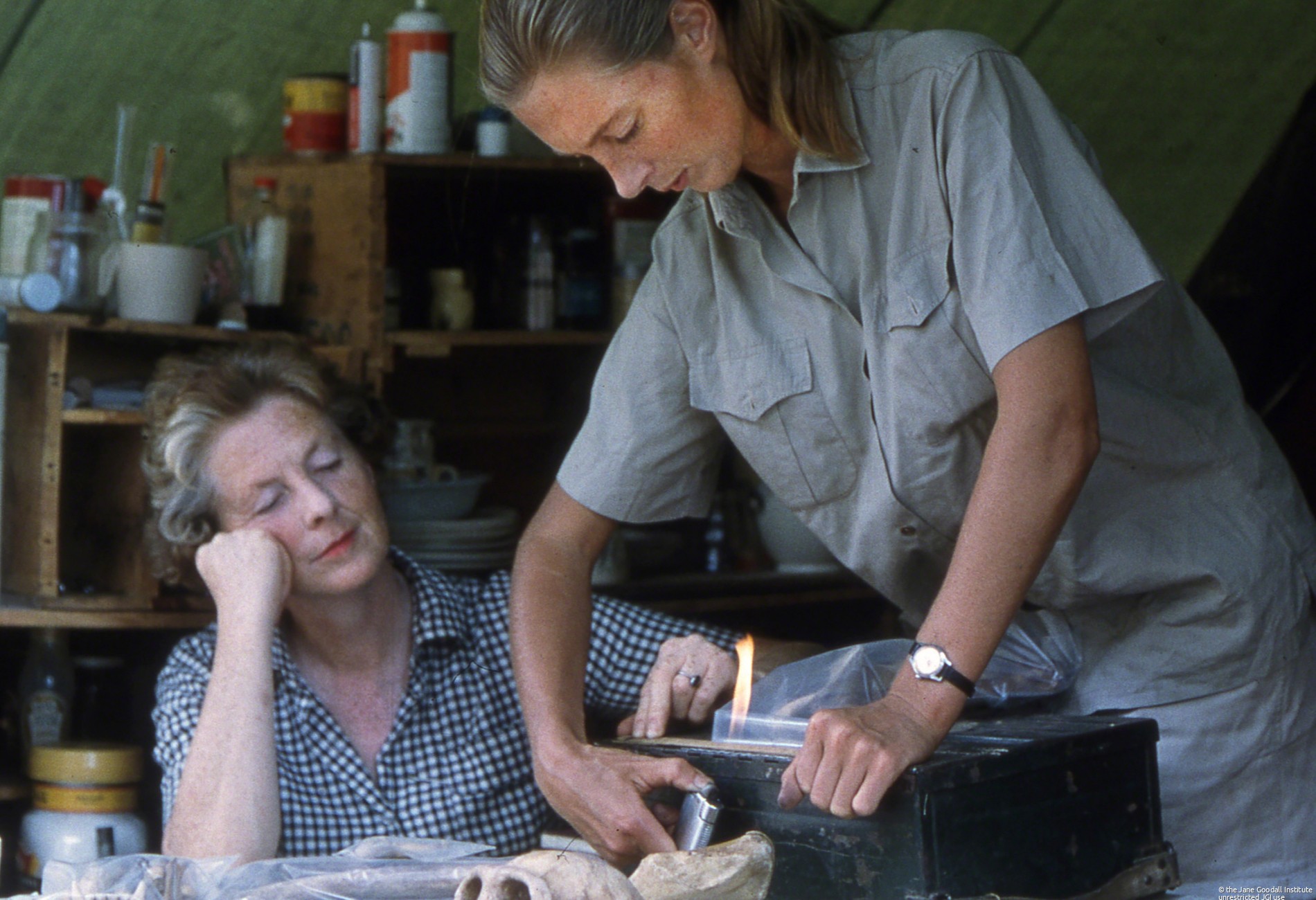 Jane Goodall and her mother Vanne sort specimens in her tent in Gombe Stream Chimpanzee Reserve.