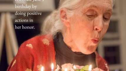 Jane fête aujourd'hui ses 91 ans!