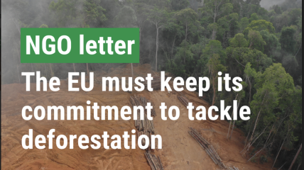 La loi européenne sur la déforestation, qui a fait l'objet d'une longue bataille, est menacée