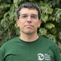 Balazs Nagy