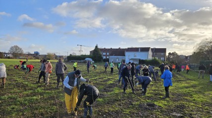 Forest in One Day à Halle