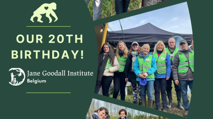 L'Institut Jane Goodall Belgique fête son 20e anniversaire