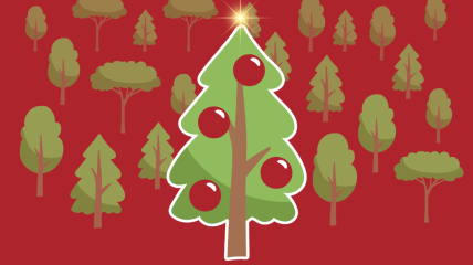 Aidez-nous à planter des arbres en en offrant un pour Noël !