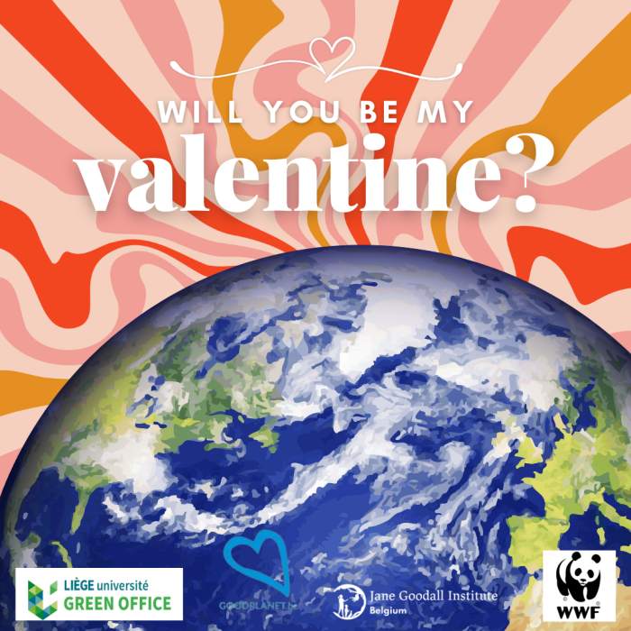 Valentine's Day - Letter to the World Graphic