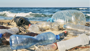 plastic pollution.png