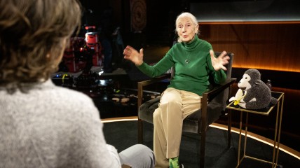 Netflix eert Jane Goodall met postume release van docuserie ‘Famous Last Words’ na haar overlijden