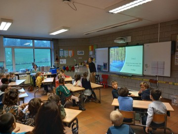 Forest workshops - École Les 2 Châtaigniers, Sombreffe