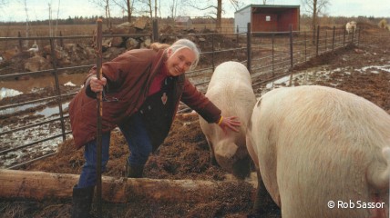 Dr. Jane heeft een open brief aan de Wereldbank ondertekend tegen bio-landbouw
