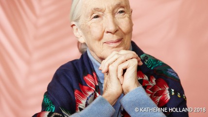 Een eerbetoon aan Jane Goodall op 90-jarige leeftijd